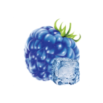 BLUEBERRY ON ICE