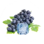 Grape Mint