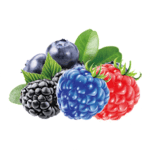 TRIPLE BERRY