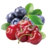 BLUEBERRY CHERRY CRANBERRY