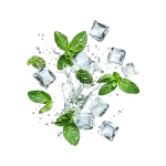 COOL MINT