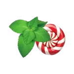 Bubble Gum Mint