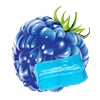 BLUE RANCHER