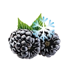 BLACK ICE