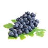 GRAPE BURST