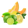 MELON ICE