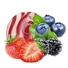WILD BERRY SAVERS
